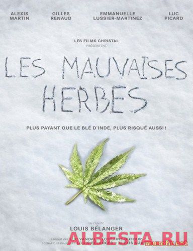 Плохие семена / Les mauvaises herbes (2016) смотреть онлайн