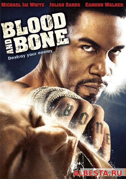 Кровь и кость (2009) Blood and Bone