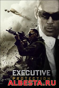 Под защитой (2015)